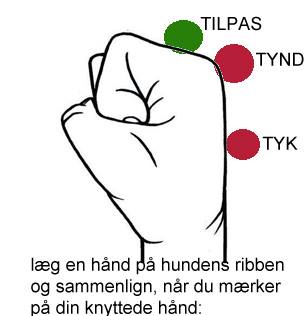 er min for tynd/ tyk? – HundPlus.dk